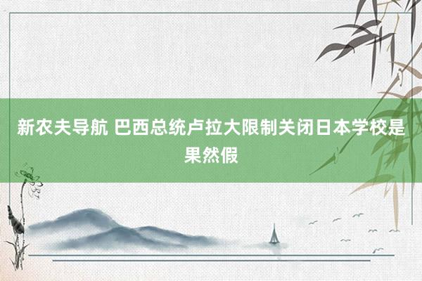 新农夫导航 巴西总统卢拉大限制关闭日本学校是果然假