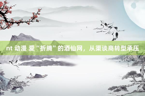 nt 动漫 爱“折腾”的酒仙网，从渠谈商转型承压