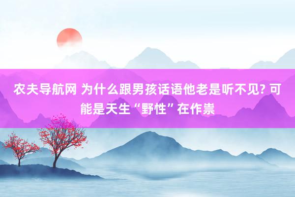 农夫导航网 为什么跟男孩话语他老是听不见? 可能是天生“野性”在作祟