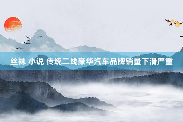 丝袜 小说 传统二线豪华汽车品牌销量下滑严重