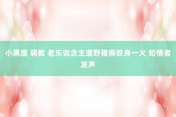 小黑屋 调教 老东说念主遭野猪撕咬身一火 知情者发声