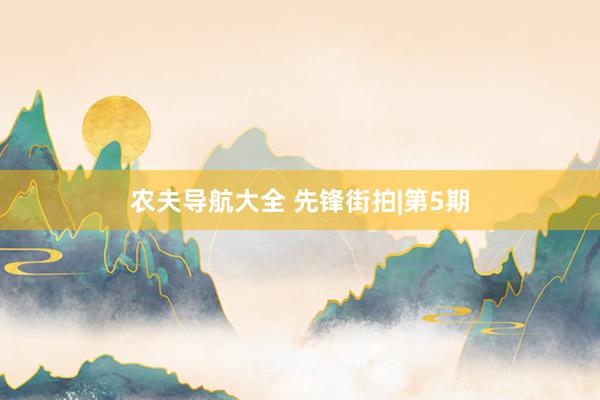 农夫导航大全 先锋街拍|第5期